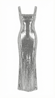 Cindy maxi dress - silver