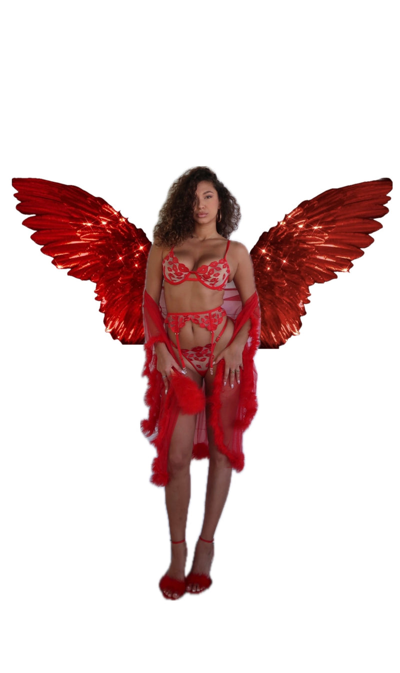 50 SHADES OF RED lingerie set