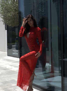 SCARLET ROUGE maxi dress